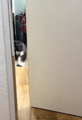 照れくさそうに去って行った