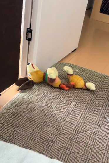 寝込んでいたら…