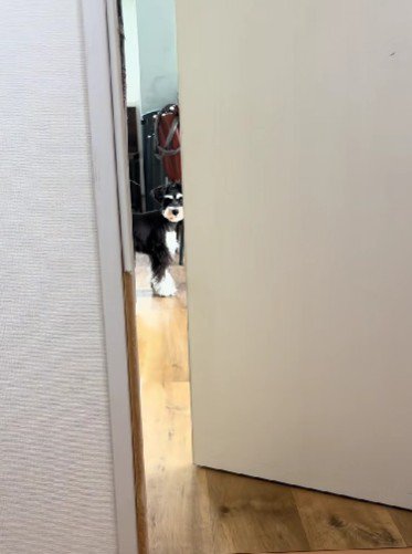 「元気になったかな？」