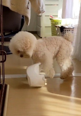 まさかの皿返し！！