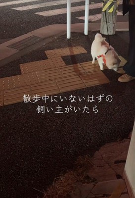 クンクン…