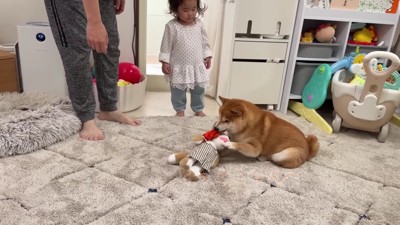 一緒に遊ぶことに