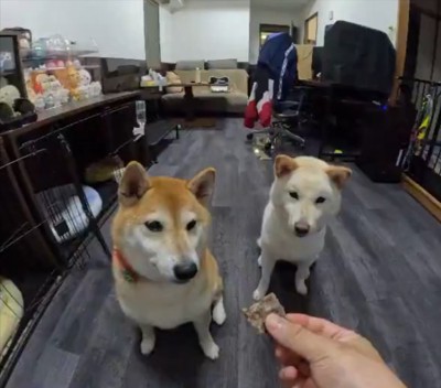 どっちだ