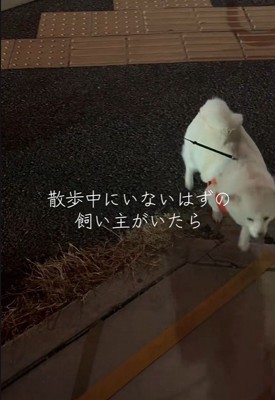 匂いを辿って、再び接近