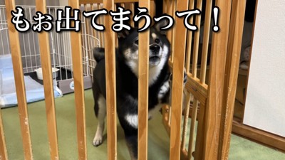 全然寝かせてくれません！