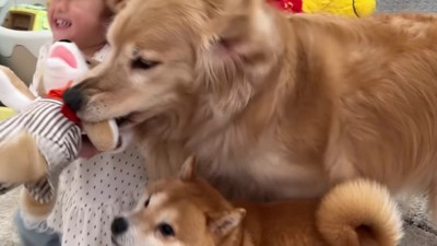 自力で取り戻した♪