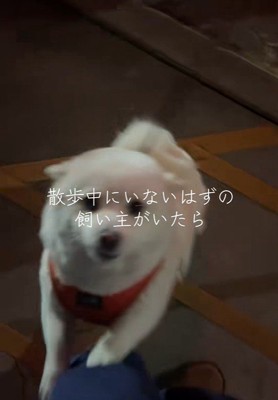 嬉しそうな姿が愛おしい♡