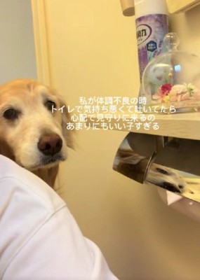 わんこが来てくれた