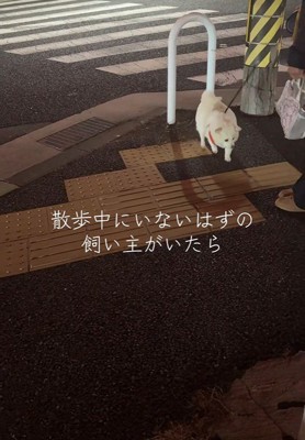 「知っている匂いがする…!」