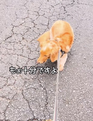 「30歩くらい歩いたし」