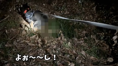 トイレをしてスッキリ♪