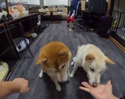 こっち