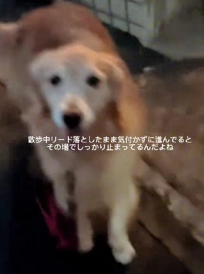 その場で健気に静止