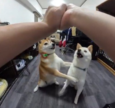 制止