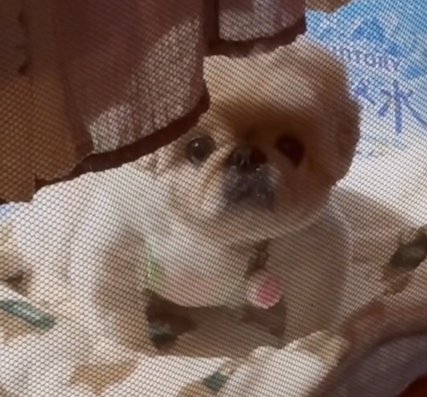 不審者