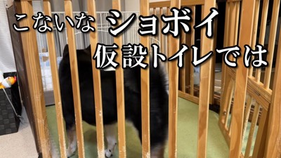 トイレの近くまで行ってみたものの…