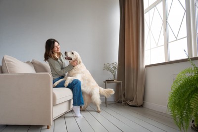 遊んでいる犬と女性