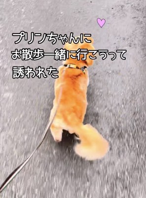 嬉しすぎて、軽快に歩いてます