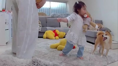 お気に入りのぬいぐるみ