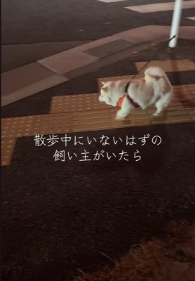 「こっちかな?」