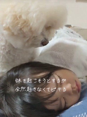「そろそろ起きようよ」
