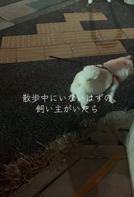 気付かずにUターン!