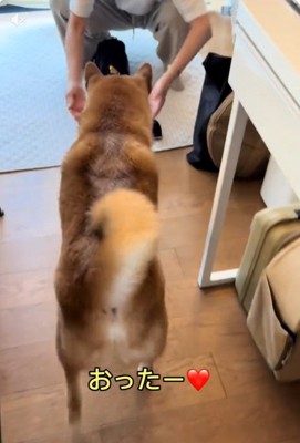 おばあちゃんを見つけたこたろう君
