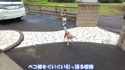 綱引き開始！？