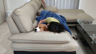 疲れ果ててすやすや…