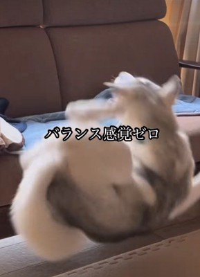 やっぱり落下！！