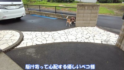 転んだら心配してくれるペコちゃん