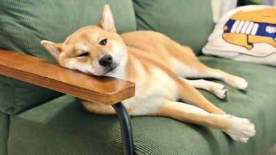 眠る