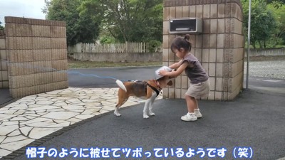 頭にボウルを被せて…