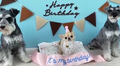 誕生日を祝ってもらったよ