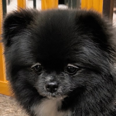 しょんぼり