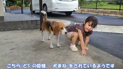 犬の真似をする姪っ子ちゃん