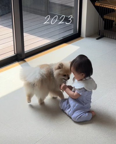 いつでもそばにいてくれる