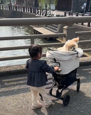 一緒にお出かけ