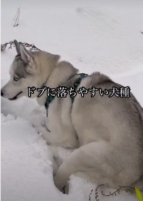 雪道すらも落下！！