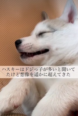 ドジっ子と聞いていたけど…