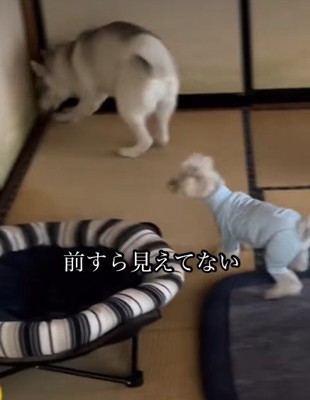 壁に激突することも