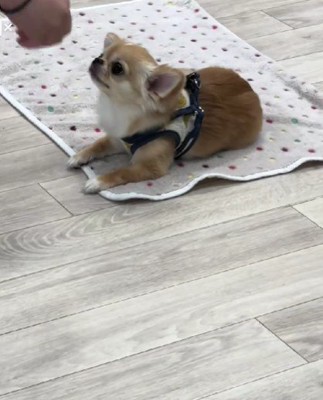 とってもよくできました♡