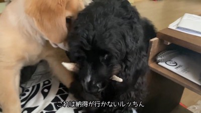 「そこは僕の席！」と間に入るルーク君