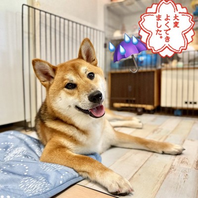 イケメン