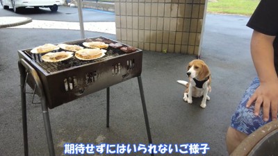 おすそ分けを期待するペコちゃん