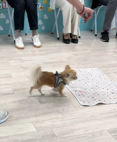 スタスタと元の位置へ