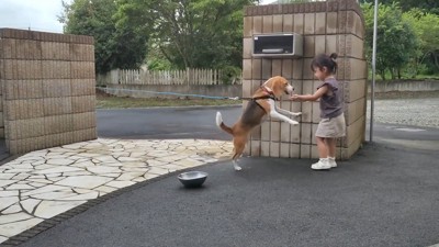 2人とも楽しそう♪