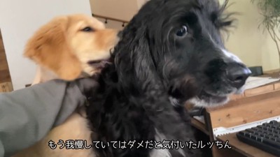 強引に場所を取り返します