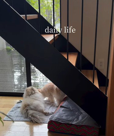 てんちゃんとも仲良し