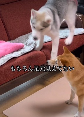 うっかり足を滑らせた